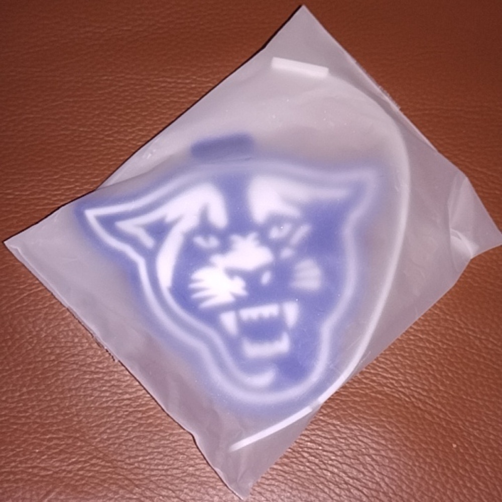 panther luggage bag from Georgia State